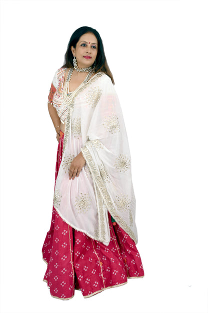 Navratri special reversable chaniya choli